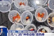 灌南@铲屎官们 养“异宠”或危害国家安全 这些行为违法了