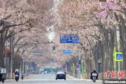 灌南共建“花园城市” 北京这场议政会“百花齐放”