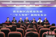 灌南贵安新区：突出算力优势布局 构建中国领先的智算高地