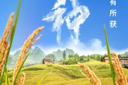 灌南芒种节气小知识来了 夏种作物都有什么？
